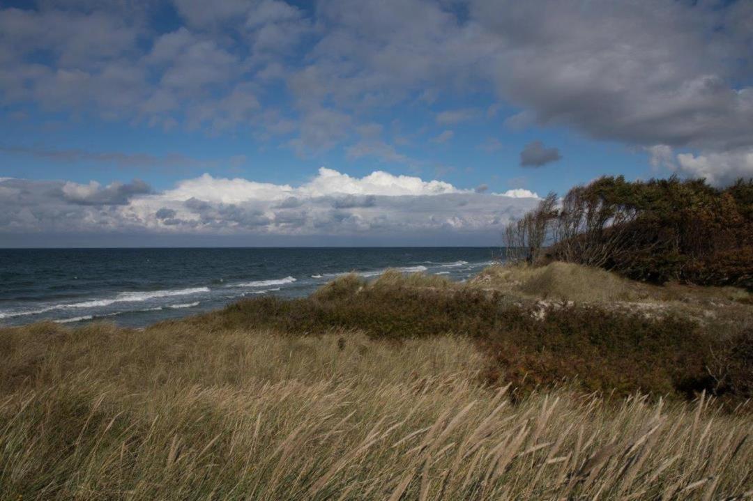 Studio 11 Im Haus Stranddistel, Modernes Studio Im 1 Og Fur 2 Personen In Zingst Exterior photo